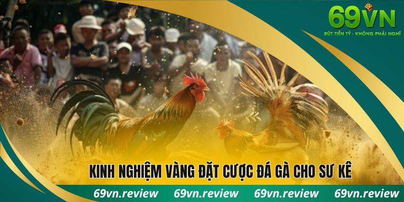 Kinh nghiệm vàng đặt cược đá gà cho sư kê
