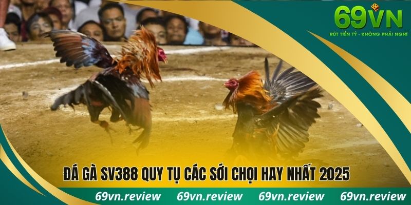 Đá gà SV388